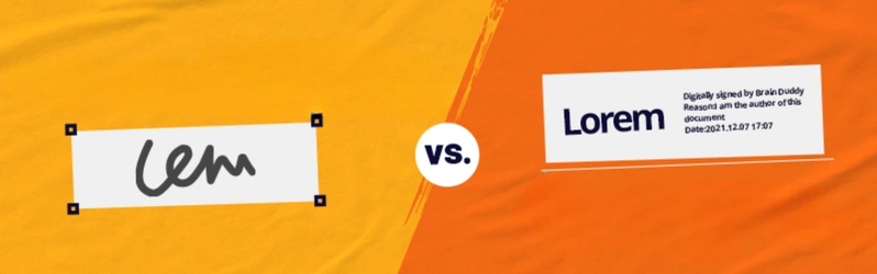 Network Security & Protection