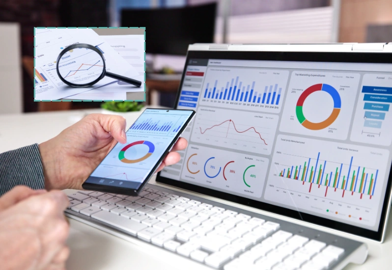 Reporting & Analytics