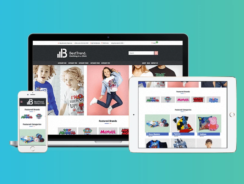 >Ecommerce Website Development