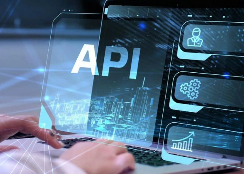 Custom Website Development Preview